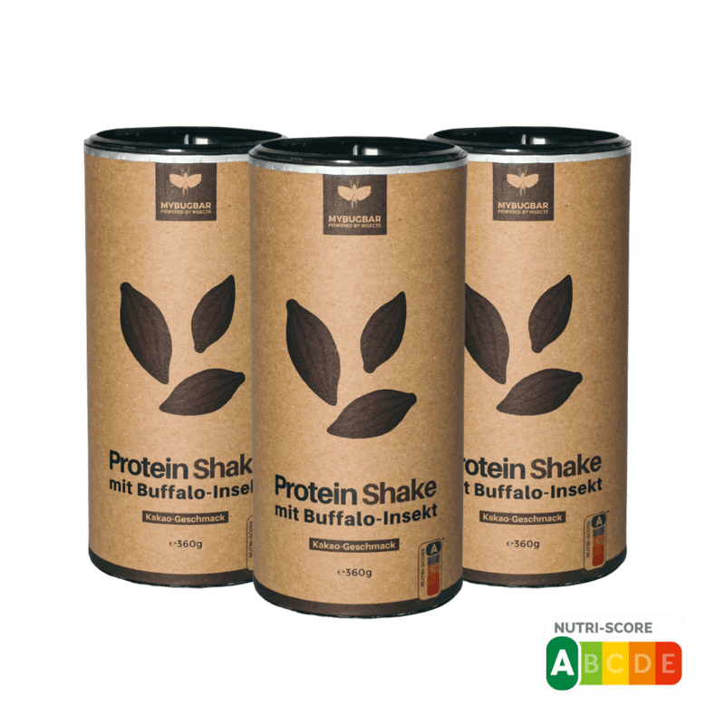 3er Protein Shake Pack in der Geschmacksrichtung Kakao