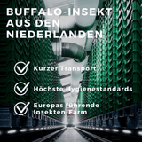 Hochmoderne Insekten Farm in den Niederlanden