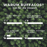 Vergleich der Umweltauswirkungen zwischen dem Buffalowurm und Rinderprotein