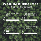 Umweltaspekte des Buffalo Wurms