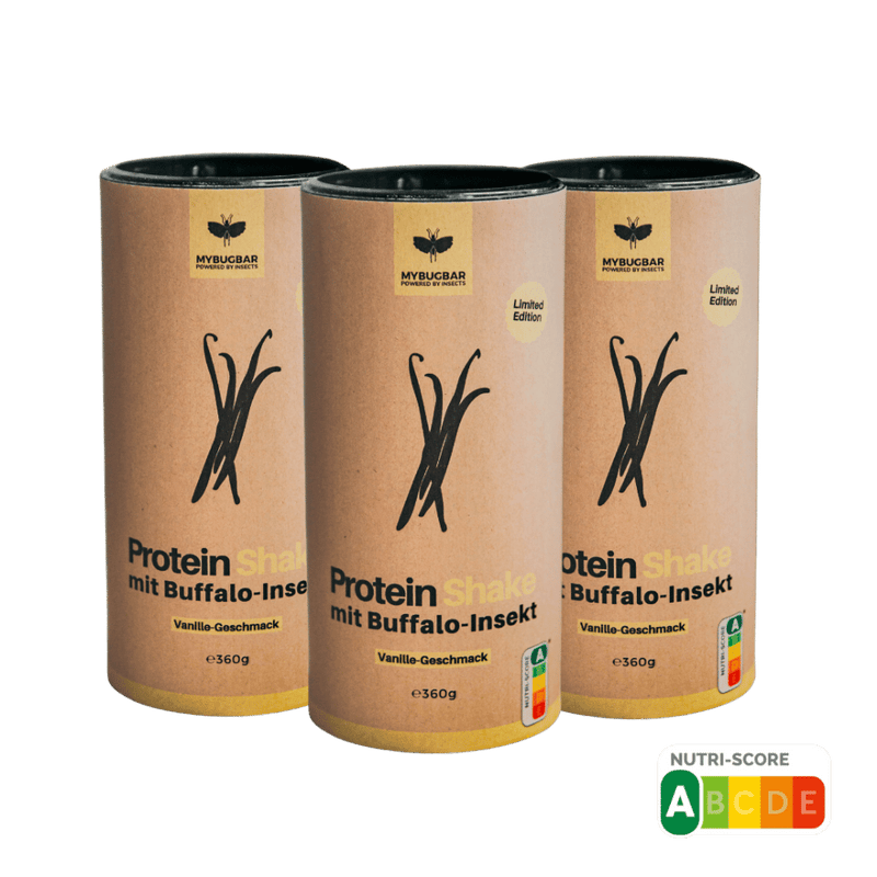 Protein Shake Vanille mit Buffalo-Insekt im 3er Pack