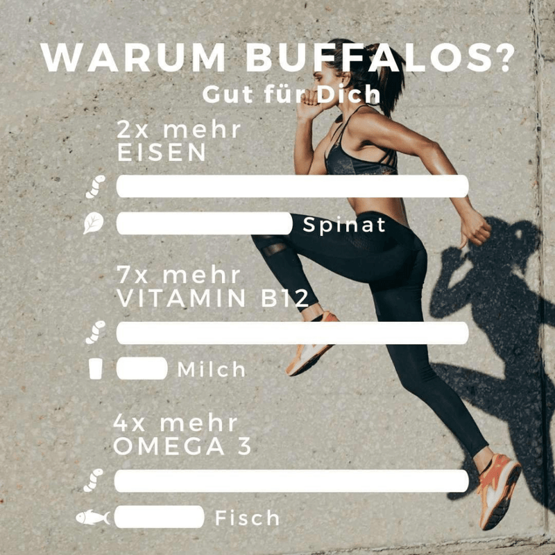 Vorteile des Buffalo-Wurm Protein für deinen Körper