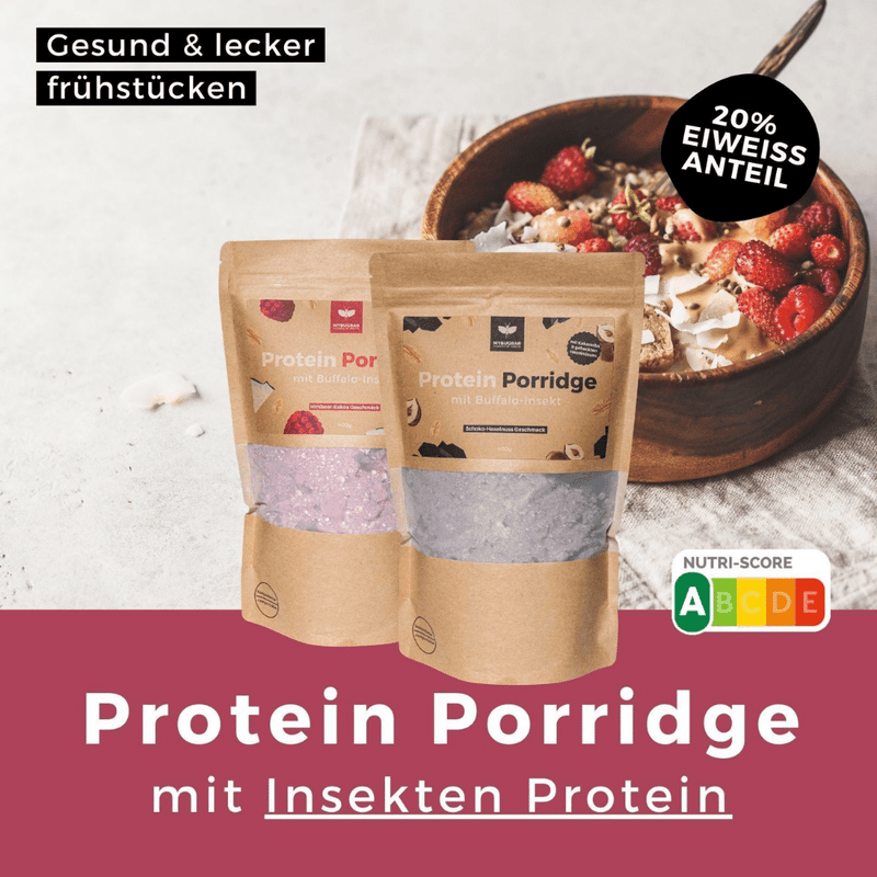 400g Protein (20% Eiweiß Anteil) Porridge mit Insekten Protein in den Sorten Schokolade-Haselnuss und Himbeer-Kokos