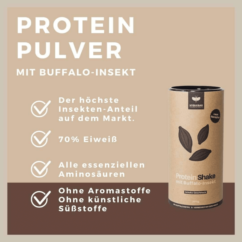 Mybugbar Protein Pulver mit Buffalo-Insekt und 70% Eiweiss Anteil