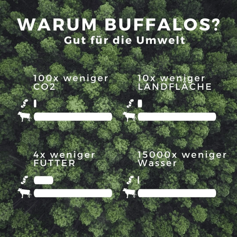 Umweltaspekte des Buffalo Wurms
